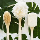 EcoTools Soft Bristle Bath Brush, Long Handle Shower Brush, Gentle Exfoliating for Back and Body EcoTools