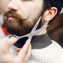 Barber Scissors 6.5" - Hair Cutting Shears - scissors for hair cutting - Professional Scissors - hairdresser scissors. J2 Stainless Steel Hair Scissors (Silver) Aideoq