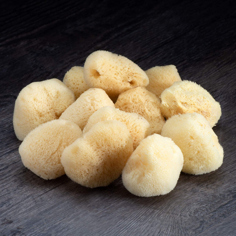 Neptune Natural Sea Soft Silk Sponge - for Cosmetic Use, Art, Facial Cleansing 12pk, 1-1.5 inches Neptune Natural