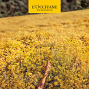 L'Occitane Shea Vanilla Bouquet Hand Cream, 1 Oz L'Occitane