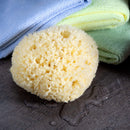 Neptune Natural Sea Wool Sponge - All Natural Honeycomb Renewable Sea Sponge, Jumbo, 6.5-7.5 inches Neptune Natural