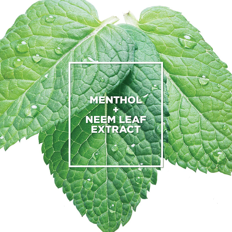 L’Oreal Paris Everpure Sulfate Free Scalp Care + Detox Shampoo, with Menthol + Neem Leaf Extract, for Deep Cleanse, Vegan, No parabens, dyes or gluten L'Oreal Paris Store