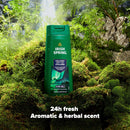 Irish Spring Icelandic Night Moisturizing Body Wash for Men, 24 Hour Fresh, Face and Body Wash, Men’s Body Wash, Paraben Free, Aromatic and Herbal Scent, 20 fl oz Bottle (Pack of 4) Infinity Warehouse