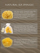 Natural Yellow Sea Wool Sponge 6 Inches. Perfect for Bath, Shower & Body Care. Super Soft & Not Skin Irritating. Baby Approved. Luxury Sponge in a Bag & Craft Box Paradise Goods