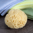 Neptune Natural Sea Wool Sponge - All Natural Honeycomb Renewable Sea Sponge, X -Large, Approx. 6 Inches Neptune Natural