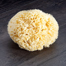 Neptune Natural Sea Wool Sponge - All Natural Honeycomb Renewable Sea Sponge, Jumbo, 6.5-7.5 inches Neptune Natural