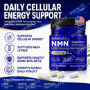 ArtoaLabs NMN Capsules 1000mg with TMG Quercetin Resveratrol NAD+ Support Cellular Energy Healthy Aging Wellness Formula 120pcs Infinity Warehouse