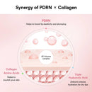 Abib PPDRN Collagen Lip Mask Glazed Jelly 11g Infinity Warehouse