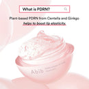 Abib PPDRN Collagen Lip Mask Glazed Jelly 11g Infinity Warehouse